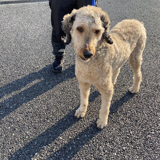 スタンプー 暖くん