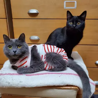 びっくり顔のハルくん