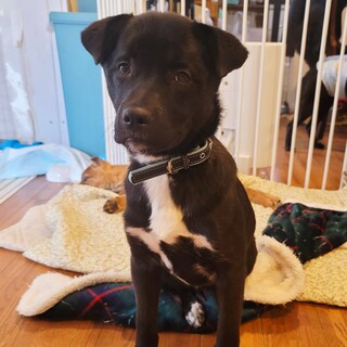 Panel For Life Panel For Life