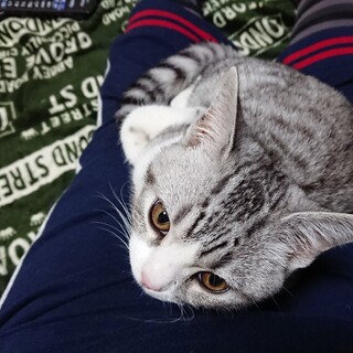 里親見つかりました！