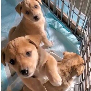 ありがとうございました！