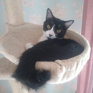 抱っことぬいぐるみが大好きな男の子♡