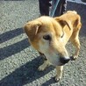 おっとり、大人しいおじいちゃんを家族に！！ サムネイル4
