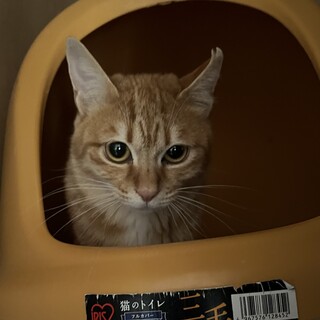 顔も仕草も可愛い！お嬢♀