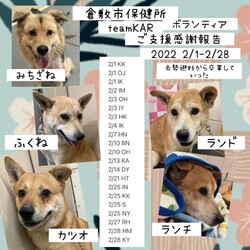 KARご支援感謝報告2022年2月→全頭譲渡決定！