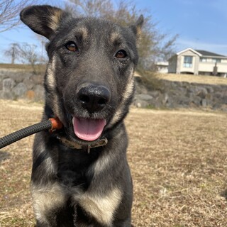 キュートなスルメ男子☆Subaru