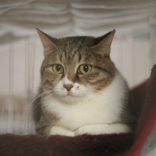 はまっちゃう笑かのこ♀