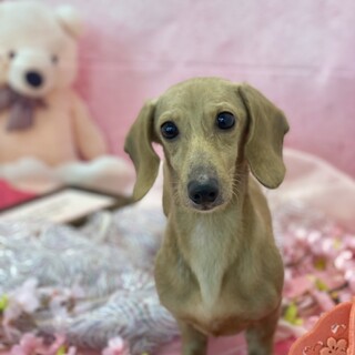 幸せみつかりました！