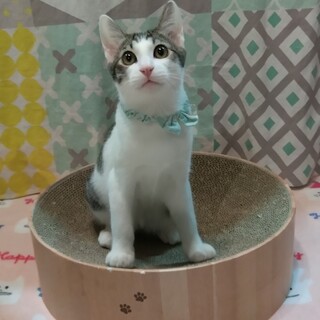 ずっとのおうち決定！ゆめひかりくん(^.^)