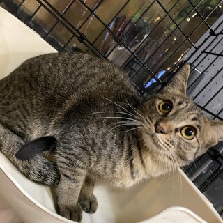 甘えん坊さん美少女☆さら