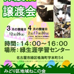 名古屋市緑区猫の譲渡会