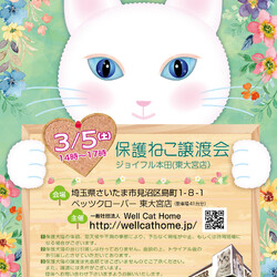 ペッツクローバー東大宮店「保護ネコ譲渡会」開催！