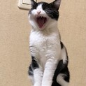 里親様きまりました！