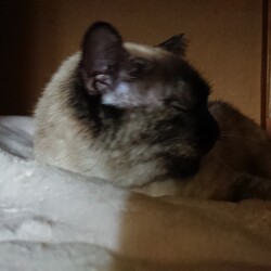  久しぶりの更新