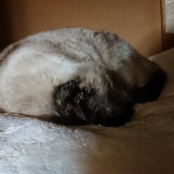 「 久しぶりの更新」サムネイル2