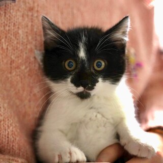 個性的⁉︎とってもお茶目なティモシー❤️