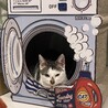 お気に入りの洗濯機