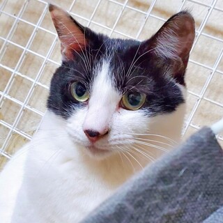 おっとり物静かですෆ⃛さくらちゃん