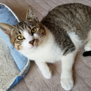 兄妹イチの甘えん坊