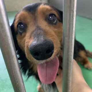 ありがとうございました！