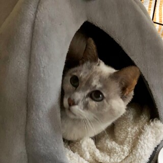 美意識高い系女子♡すいちゃん