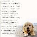 、