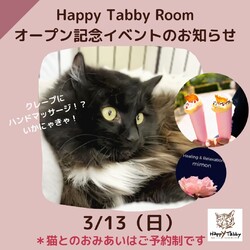 猫のおみあい会＆オープン記念イベント サムネイル1