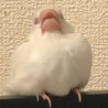 眠そう…