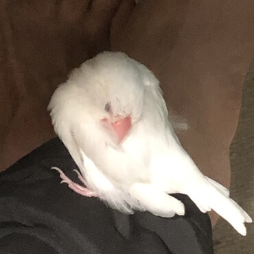 足が好きなんです。