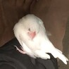 足が好きなんです。