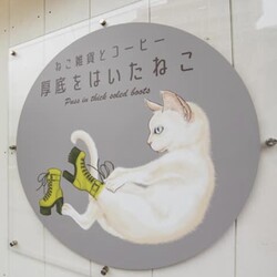 保護猫譲渡会　in  厚底をはいたねこ サムネイル2