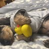 お気に入りのオモチャと