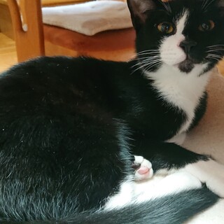 元気いっぱい！かぼ君です。