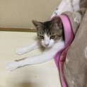 甘えん坊な女の子