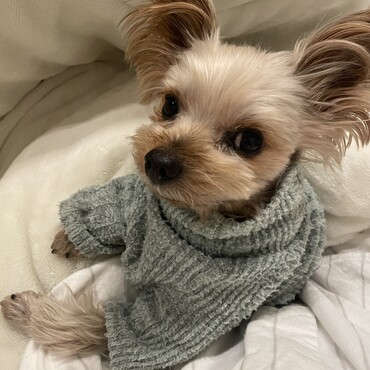 2022年3月