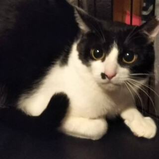 〝ひょっこりちゃん〟です♪