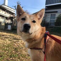 あき