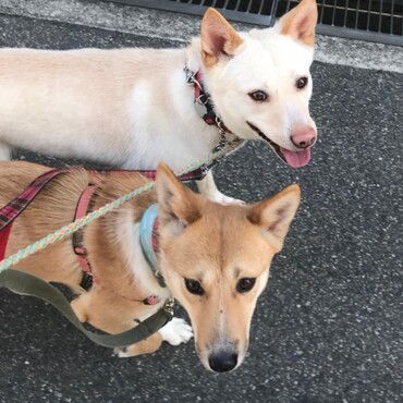 の写真