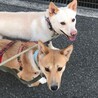 の写真