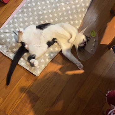 の写真