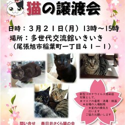 保護猫の譲渡会atいきいき