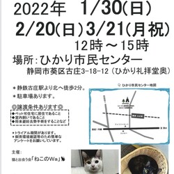 ねこのWa猫譲渡会