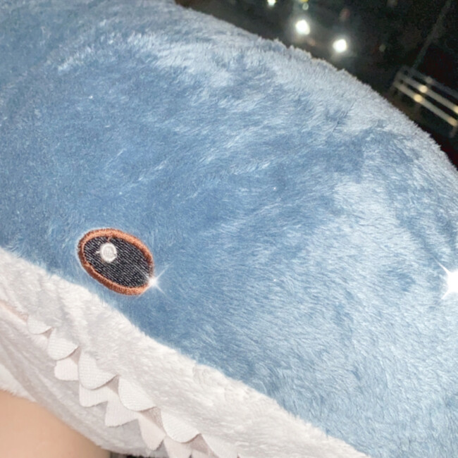 あさんちのカバー写真