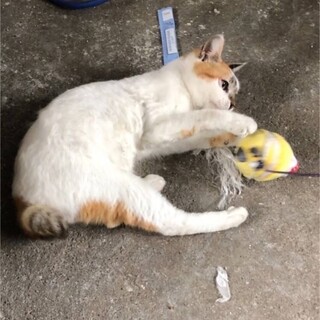 ありがとうございました！