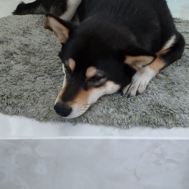 イトタケのカバー写真