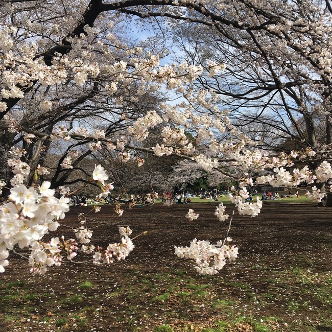 qazwのカバー写真
