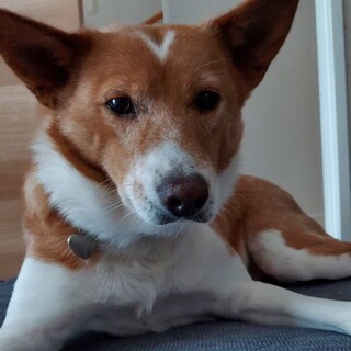 「七菜（なな）」女の子