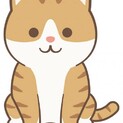 決まりました。