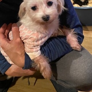 抱っこ大好きな甘えん坊さん