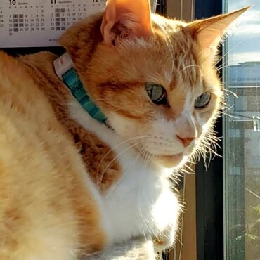 2階から訪問者のチェック中